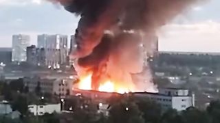 ФЕЙГИН ШОРТС 33