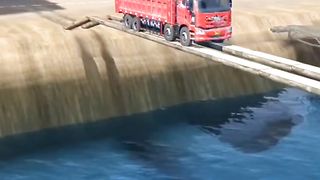 Torang pasukan damai batudaan versi truk 15