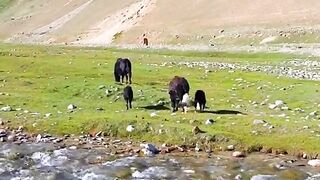 Beautifull place video