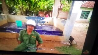 Animal lovers 945