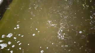 Tilapia Farmer Switch from RAS System to Biofloc Technology