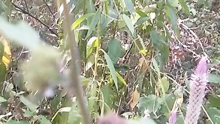 Animal lovers 953