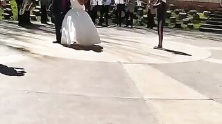So trending funny cats and dogs video