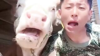 Funny ???????? video 10