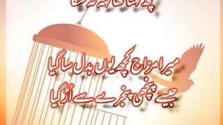 My Urdu Poetry Adnan Durez 57