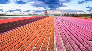 Beautifulview