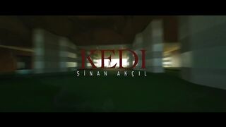 Sinan Akçıl - Kedi