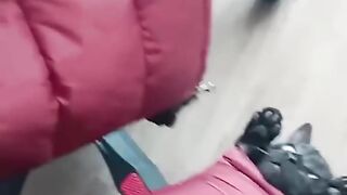Funny animals - Funny cats and dogs - Funny animal videos 2023???? 5