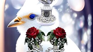 Dua rabana