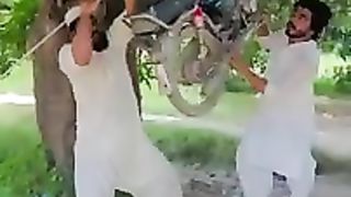 Mazahiya video