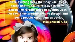 Parrot ???? English story for kids