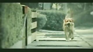 Banned Commercial - Funny Dog Suicide