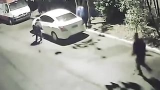 Love Birds Caught in The Car
