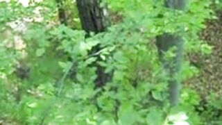 Beautiful nature 91