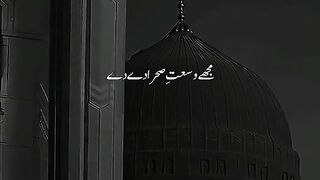 video 204