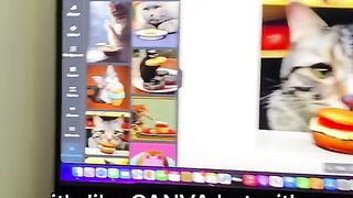 Stop using Canva