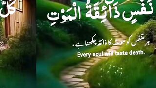 Hasher Main phr milan gay ay mary dost naat shareef