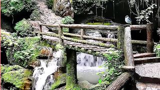Beautiful world 7