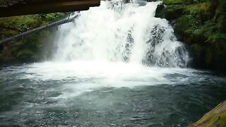 Nature & beautiful voice