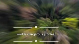 Explores the Wonders of Dengura's Jungle: An Epic Adventure
