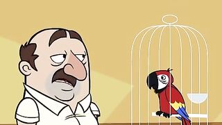 ???? Funny | Feathered Feats: Astonishing Antics of My Bird | FunFM