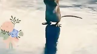 Video pRt