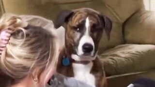 ???? Funny | Social Media Shenanigans: The Becky Posting Dilemma | FunFM