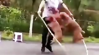 Jump rope with dogs