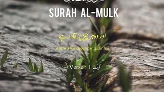 Holy Quran 3