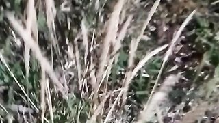 Animal lovers 978