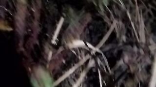 Animal  lovers 11