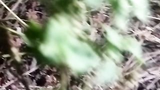 Animal lovers 984