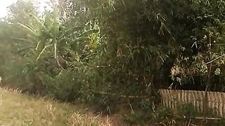 Animal lovers 996