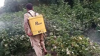 Man in spray