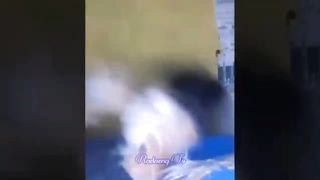 video funny part 21