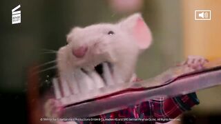 Stuart Little: Clips + Trailer | Best Scenes