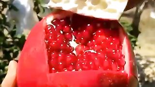 How to harvest and cut pomegranate fruit
