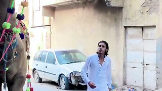 Funny video ???????????????????? 4