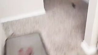 best doge 5