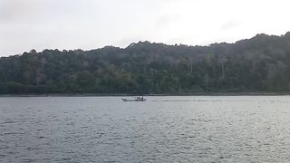 View afternoon
