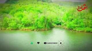 Best bayan video