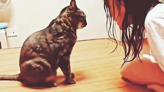 Cat angried with laara joke