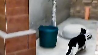 Приколи 396
