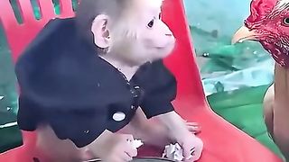 Why are you eating my rice????