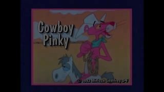 Pink Panther cartoons 34