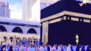 How to get Quran Recite status video