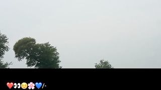 video 206