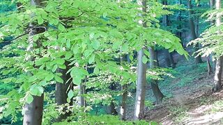 Beautiful nature 92