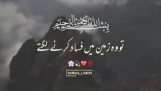 found the best Recite of Quran  video ... but nobody wants it