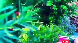 What you didn't know about beautiful scene